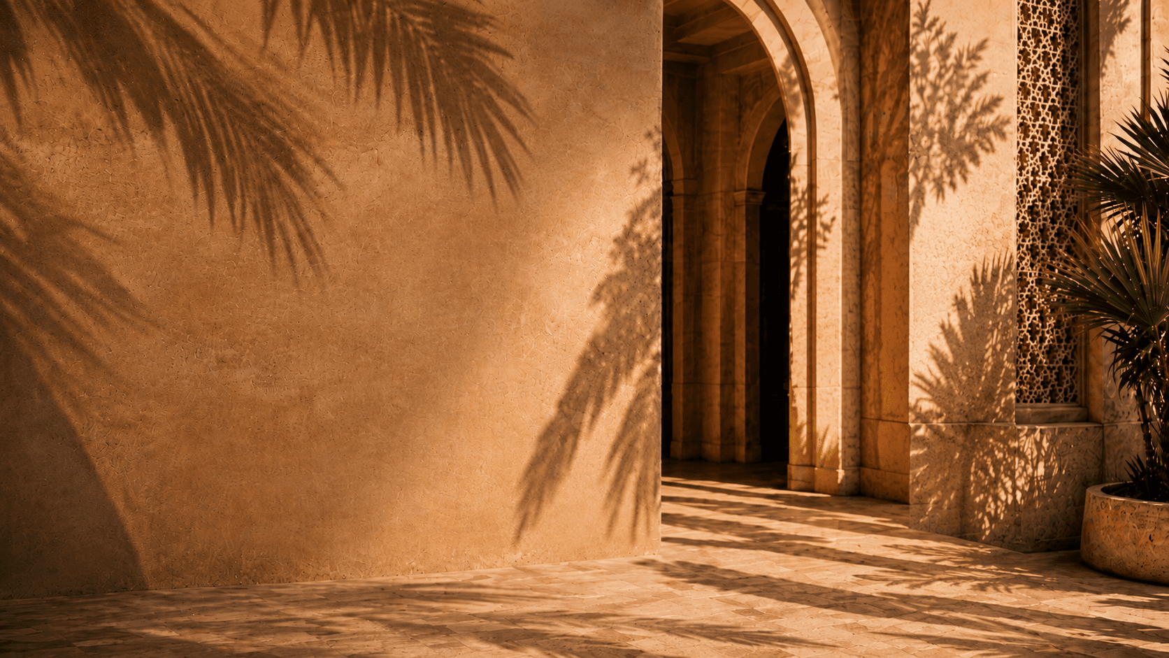 Collection de sacs en cuir premium Anakavibe — Maroc